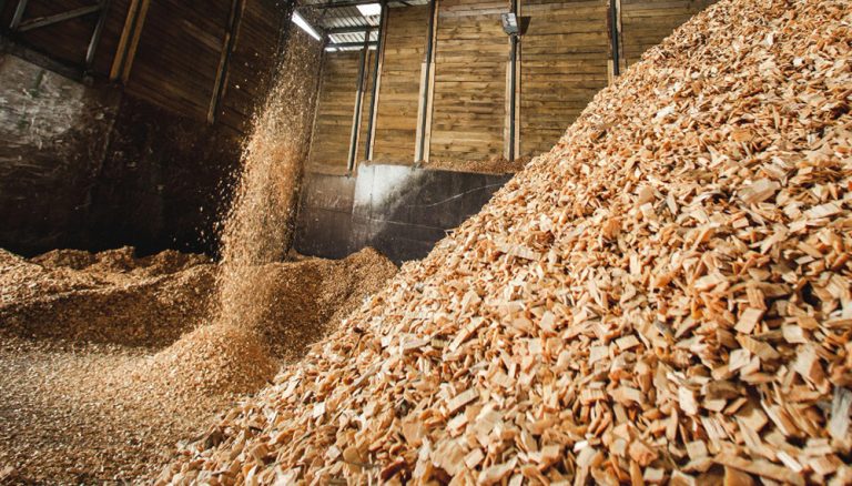 Pila de chips de madera en un galpón